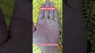 🔥智慧線分叉的掌紋🤚☯看看是不是跟你一樣的手紋，#palmistry  #手相