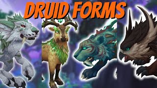 How To Unlock 4 New Druid Forms