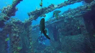 Molas Wreck dive with Murex Dive Resorts