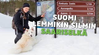 Suomi Lemmikin Silmin – Saariselkä