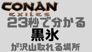 【Conan Exiles】23秒で分かる黒氷が沢山取れる場所