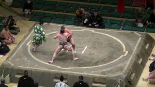 朱雀-琴弥山/大相撲.2017.1.12(9)/suzaku-kotomisen/day5 #sumo