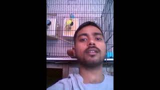 Moula Mera Ve Ghar Ali Hamza 2016 Manqbat Downloaded from youpak com YouTube  rizwan kay vlogs..