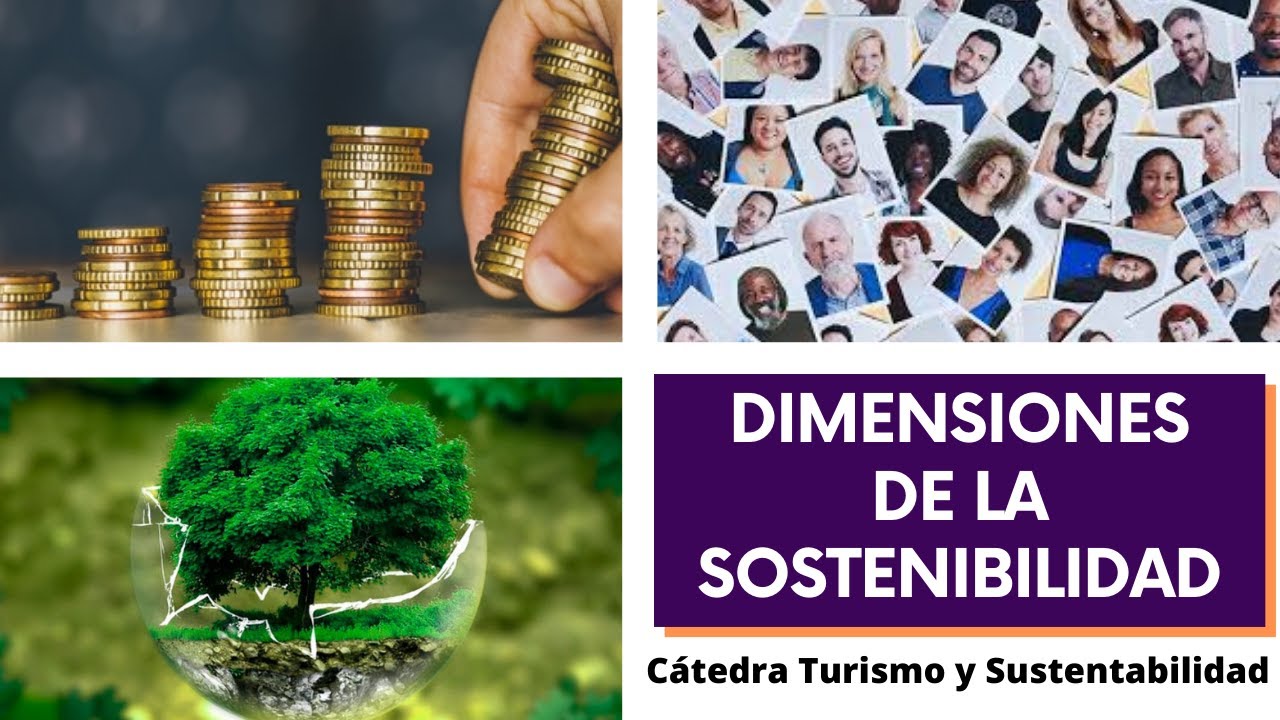 DIMENSIONES DE LA SOSTENIBILIDAD - YouTube