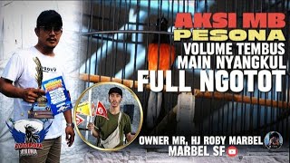 Aksi MB Pesona | Main Nyangkul volume kasar Full Ngotot  😱 Owner Hj Roby Marbel