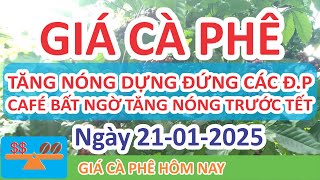 Giá cà phê hôm nay ngày 21/01/2025 | Giá Cà Phê Tăng Dựng Đứng Diễn Biến Nóng Các Địa Phương