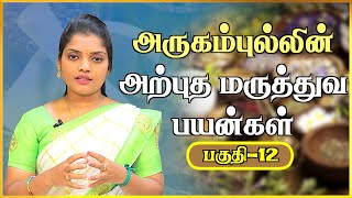 புற்றுநோயை குணமாக்கும் அருகம் புல் | Benefits Of Arugam Pullil | அருகம்புல்லின் மருத்துவ பலன்கள்