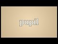 Pupil Meaning