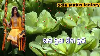 ଆସିଛି ଆମ ରଜ ପରବ,,,,,Happy Raja 2018:new raja status vidio....