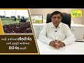 બીટી કપાસમાં વાવેતર પહેલાં લેવાની કાળજી bt cotton cultivation technics by dr. dholariya