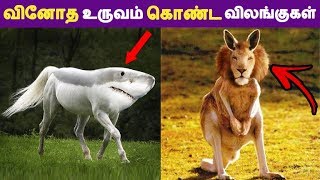 வினோத உருவம் கொண்ட விலங்குகள் | Tamil Facts | Latest News | Tamil Seithigal