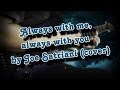 Joe Satriani - Always with me, always with you (cover)