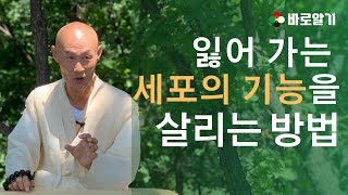 처음 밝힌다 욕망을 누르기전에 세포의 기능을 살려라! 평화로가는 비밀(Feat.삼매) (2019 년 10 월 13 일)