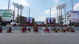 栄町なるこ会「栄華」「踊りたいから踊るんだ」　第41回朝霞市民まつり「彩夏祭」関八州よさこいフェスタ　　2024年8月3日　マイタウン北朝霞ステージ