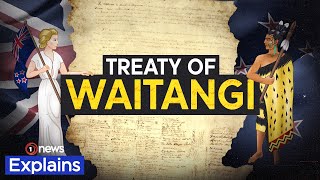 Why New Zealand can’t agree on its founding document | 1News Explains