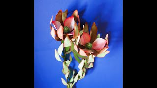 Leucadendron Part 2 Flower Construction