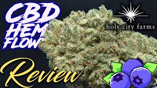 Holy City "Blueberry" Hemp Strain Review | CBD Hemp Flower Review