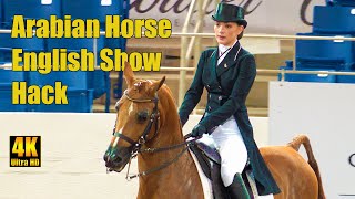 Scottsdale Arabian Horse Show - English Show Hack Class