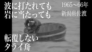 ［佐渡 1965-1966（昭和40-41年）］タライ舟とノリ