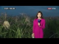 날씨 쌀쌀한 가을 추위 속 은빛 억새 물결 ytn yes top news