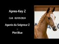 Après-Key Z - Aganix combined with Diamanthina genes: a mix for success!