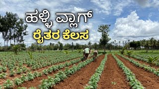 Kannada Vlogs // Village Vlogs//ಹಳ್ಳಿ ವ್ಲಾಗ್ ರೈತರ ಕಲಸ ತೋಟದ ಮನೆಯಲ್ಲಿ ತಟ್ಟೆ ದೋಸೆ ರೆಸಿಪಿ