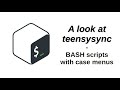 A look at teensysync | BASH scripts with case menus