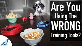 The Best Puppy Training Leadership Tools - Professional Dog Training Tips