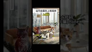 是不是面试时和上班后的你 。。 #shortvideo #真实改编 #cat #猫meme #故事 #memes