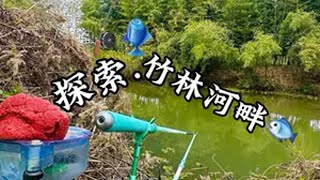 探索 竹林河畔 原来钓鱼才是抖音运动顶流 dou来钓鱼 渔之源小蜻蜓二代 渔之源