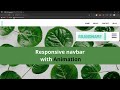 Responsive navbar With CSS Animation