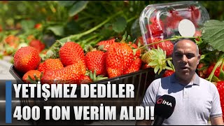 Hibe Aldı İmkansızı Başardı! Çilekten 400 Ton Verim Aldı / AGRO TV HABER