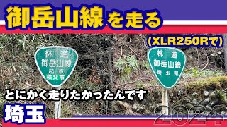 【ツーリング】XLR250Rで御岳山線 2024【林道】