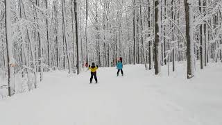 Ski Mont Rigaud - Pic bois