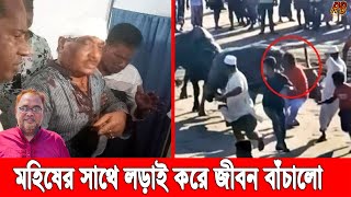 মহিষের সাথে যু'দ্ধ করে জীবন রক্ষা পেলো টেকনাফের এমপি সেই বদি! গু'তো খেয়েও অলৌকিকভাবে বেঁচে প্রাণ!