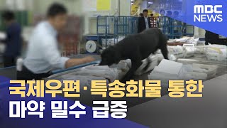 국제우편·특송화물 통한 마약 밀수 급증 (2021.07.15/12MBC뉴스)