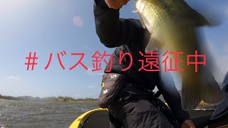 2022/4/27#バス釣り遠征中【八郎潟西部承水路】