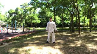 空手道剛柔流 形 撃砕第一  Karate-Do Goju Ryu 01 Kata Gekisai Dai Ichi