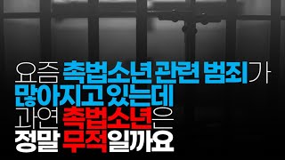 (※시청자질문) 요즘 촉법소년 관련 범죄가 많아지고 있는데 과연 촉법소년은 정말 무적일까요?