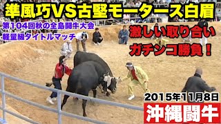 2015年11月沖縄闘牛軽量級タイトル戦。チャンピオン準風巧の初防衛戦に挑むは古堅モータース白眉。激しい取り合いに注目！