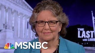 FEC Chair Sets The Record Straight On Foreign Interference In An Election | The Last Word | MSNBC