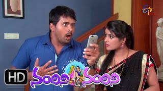 Nandini Vs Nandini - 6th July 2016 -  నందిని Vs నందిని - Full Episode 162