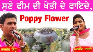 ਫ਼ੀਮ ਦੇ ਫ਼ਾਇਦੇ | Poppy Flower | Harjit Sidhu & Parveen Dardi | New Desi ਦੋਗਾਣੇਂ 2023 #harjitsidhu