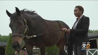 Equine Therapy Used To Help Veterans