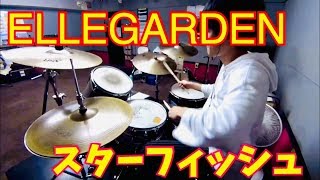 【ELLEGARDEN】スターフィッシュ　叩いてみた【エルレ復活！】