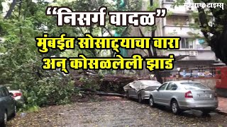 निसर्ग वादळ : मुंबईत सोसाट्याचा वारा अन् कोसळेलेली झाडे| महाराष्ट्र टाइम्स | Maharashtra Times