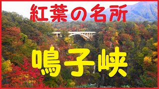 【鳴子峡】紅葉の名所▽絶景ポイント6ヶ所紹介▽錦のように色鮮やか #紅葉に行こう ＜車中泊で行く紅葉＆温泉 宮城編③＞ Autumn leaves at Naruko Gorge.