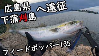 【遠征】広島県下蒲刈島の初青物ゲット！！～20220427