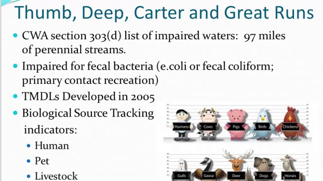 Examples Of TMDL Implementation - National 303(d)/TMDL Webinar Series ...