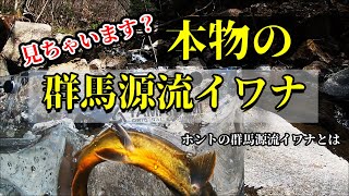 【渓流ルアー釣り】水の無い沢の最奥はどうなっているのか？